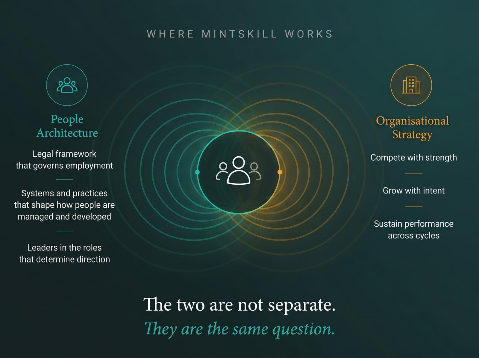 Where Mintskill Works
